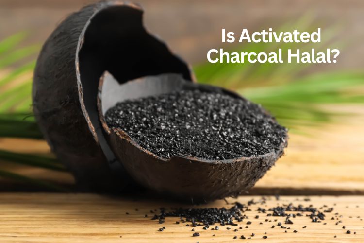Home Page 1 is activated charcoal halal