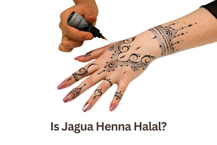 Home Page 13 is jagua henna halal