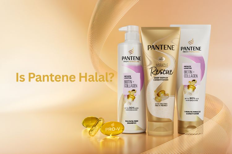 Home Page 11 is pantene halal