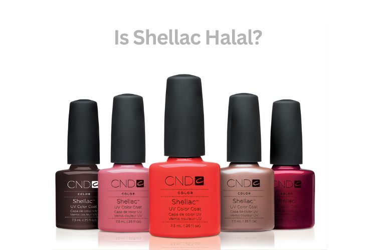 is shellac halal